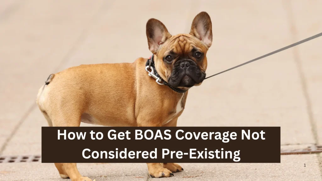 How to Get BOAS Coverage Not Considered Pre-Existing