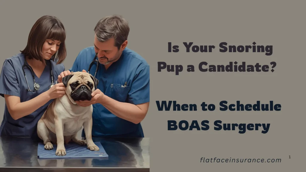 When's the Best Time for BOAS Surgery